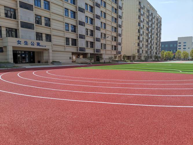 学校塑胶跑道面层全解析 从材料到养护，一次讲清
